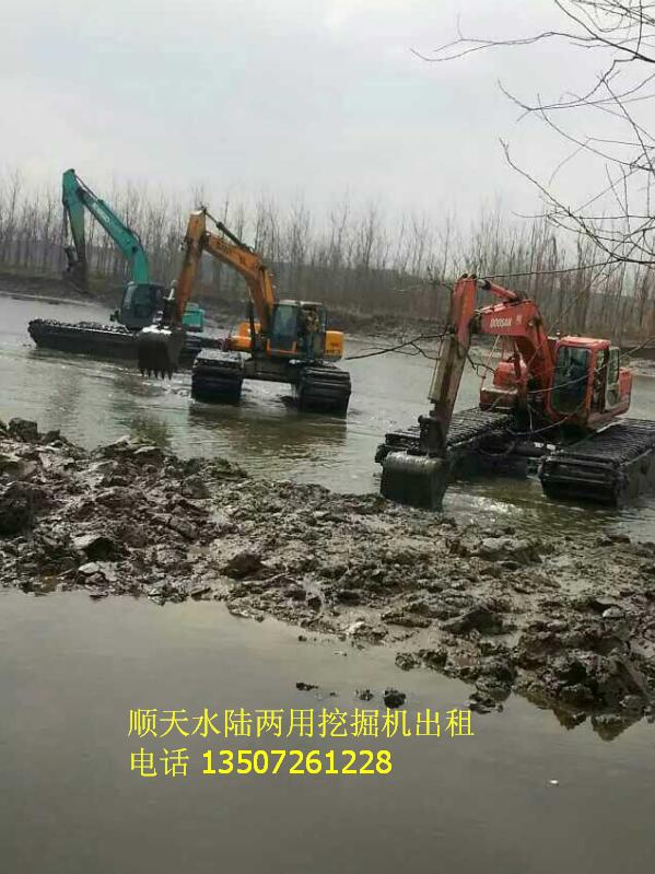 甘肃天水市水上挖掘机出租查看