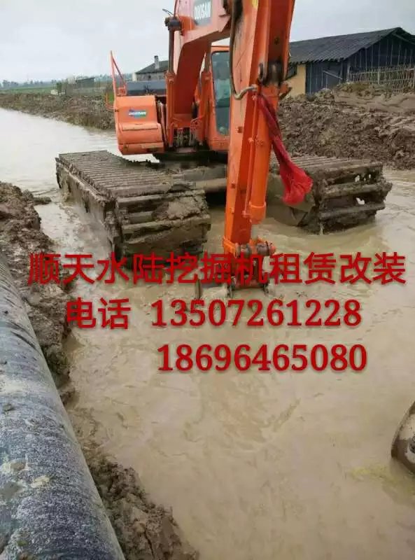 湖南益阳市租赁湿地挖机组图