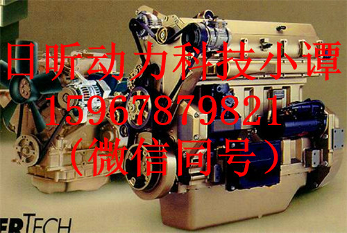 延边龙井强鹿柴油机发电机RE506197放心的