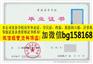 V信bg158168哈尔滨远东理工学院本科证制作