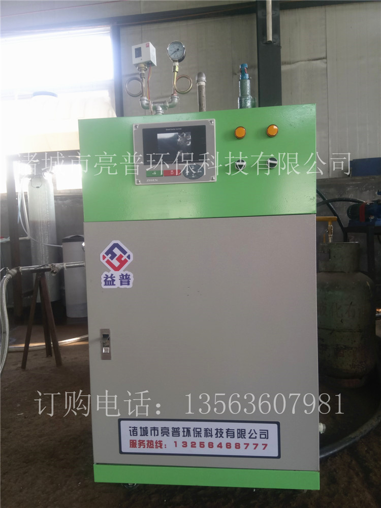 蒸汽发生器亮普lp全自动控制，免年检