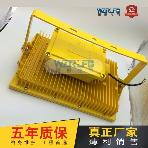 厂家直销50WLED防爆灯 LED防爆泛光灯