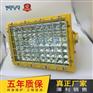 免维护LED防爆灯 大功率250WLED防爆投光灯