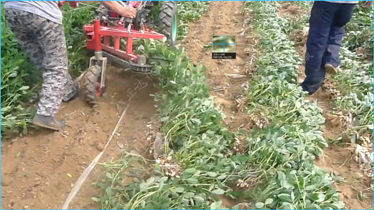 手扶花生收获机 怀化小型花生拔果机&nbsp;&nbsp;手扶车带收获机&nbsp;&nbsp;红薯收获机价格