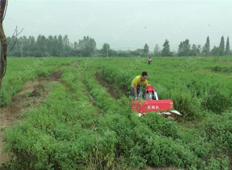 割晒机图片 韶关益母草割晒机效果图  高架式割台价格  手扶车割晒机  好操作的割晒机