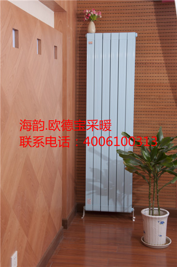 十大品牌暖气片也是衣服架-海韵欧德宝暖气片