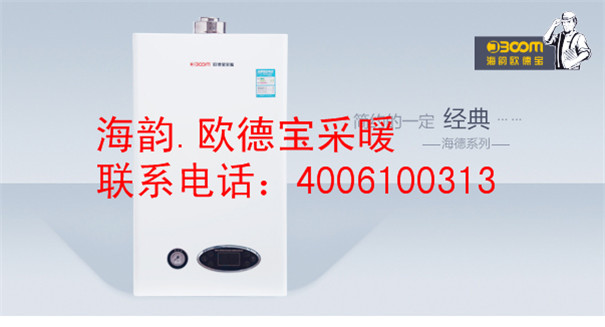 北京十大品牌热水采暖两用壁挂炉生产厂家  欧德宝