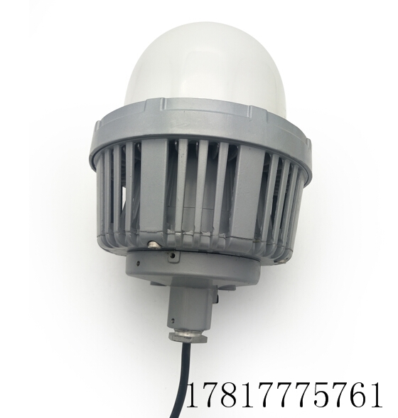 60W防腐LED节能灯 DFL6106LED三防灯