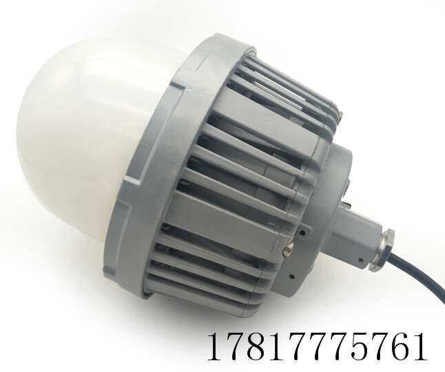 60W防腐LED节能灯 DFL6106LED三防灯