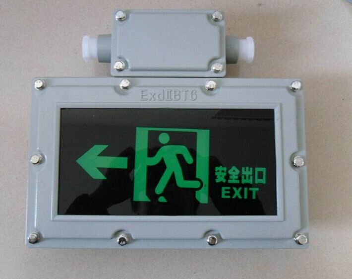 BAY51LED防爆标志灯 LED-5W壁式LED标志灯