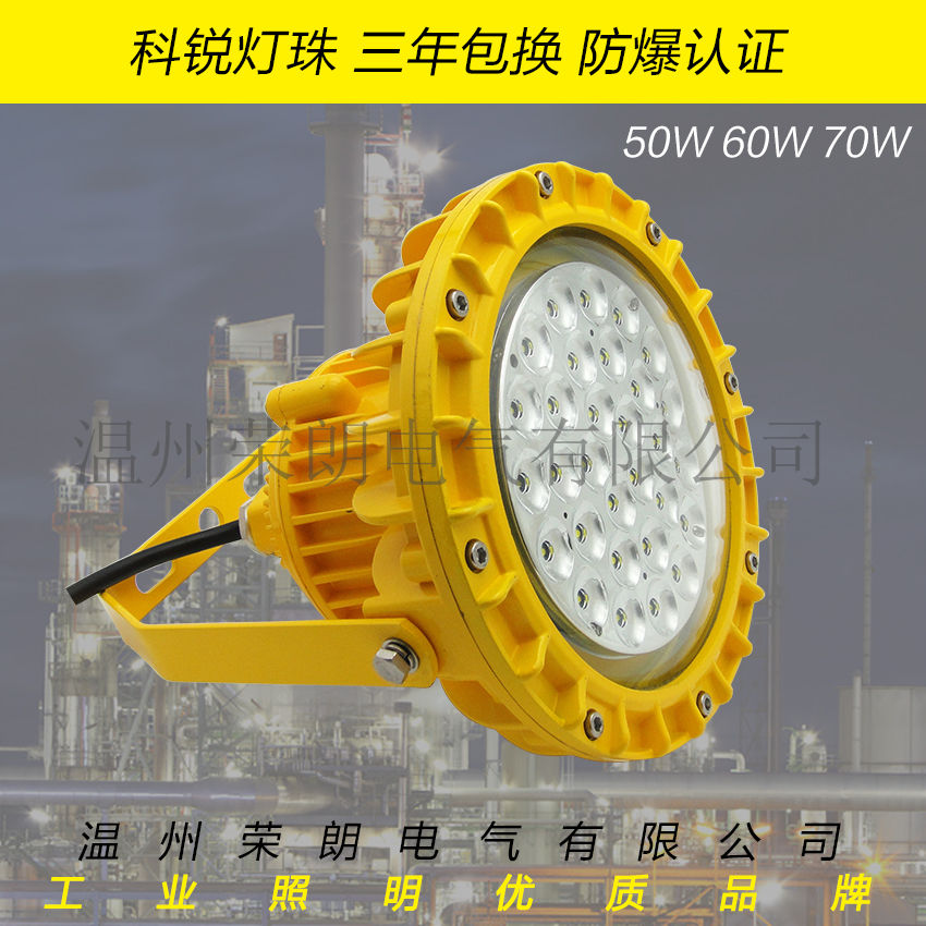 SZSW8150LED防爆灯 60W防爆LED泛光灯