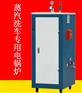 蒸汽洗车设备
