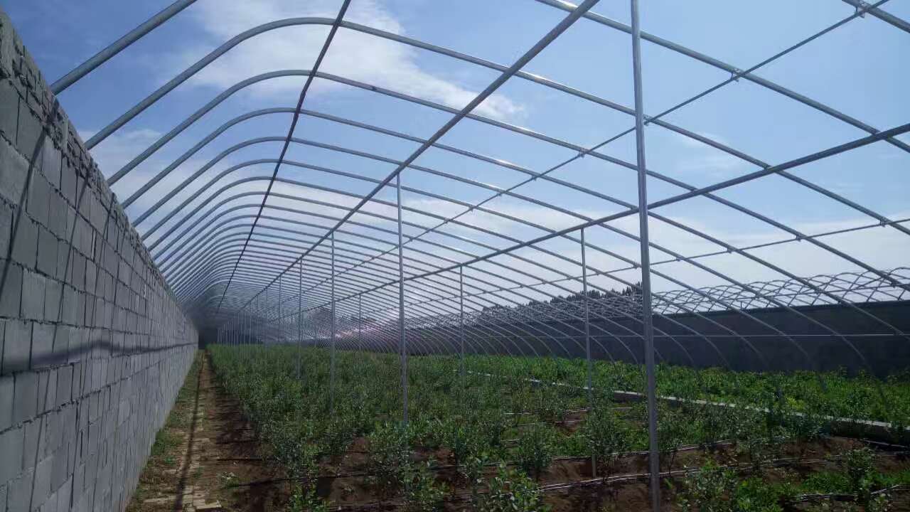 日光温室大棚，日光温室，土墙温室大棚建设&nbsp;&nbsp;日光大棚&nbsp;&nbsp;花卉日光温室