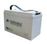 赛特蓄电池 BT-HSE-100-12 12V100AH/1