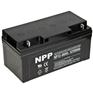 耐普蓄电池NP12-60 NPP蓄电池12V60AH铅酸阀控