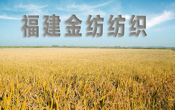 金纺公司供应弹力蕾丝花边  网布