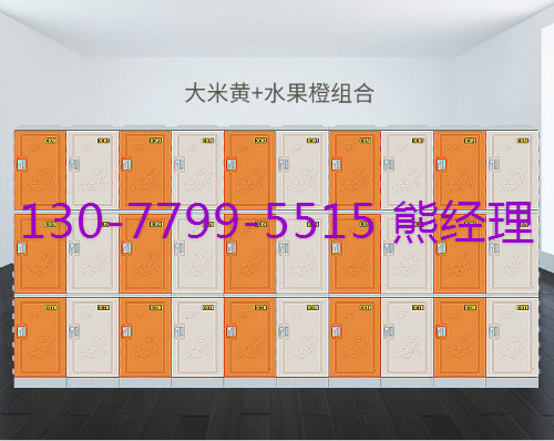 ABS塑料储物柜厂家供应  ABS储物柜