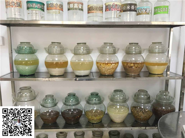 福建唐三镜家庭小型酒坊多少钱 厂家价格