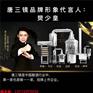 甘肃唐三镜新型酿酒设备价格