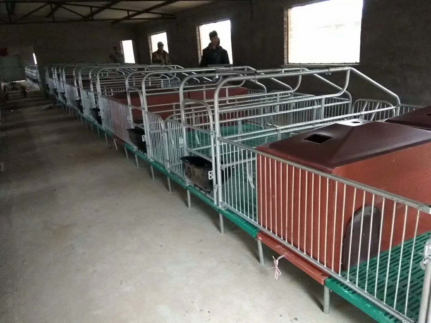 郑州鸿牧腾母猪分娩床定位栏保育床等多种养殖设备直销  欧式母猪产床  产床价格