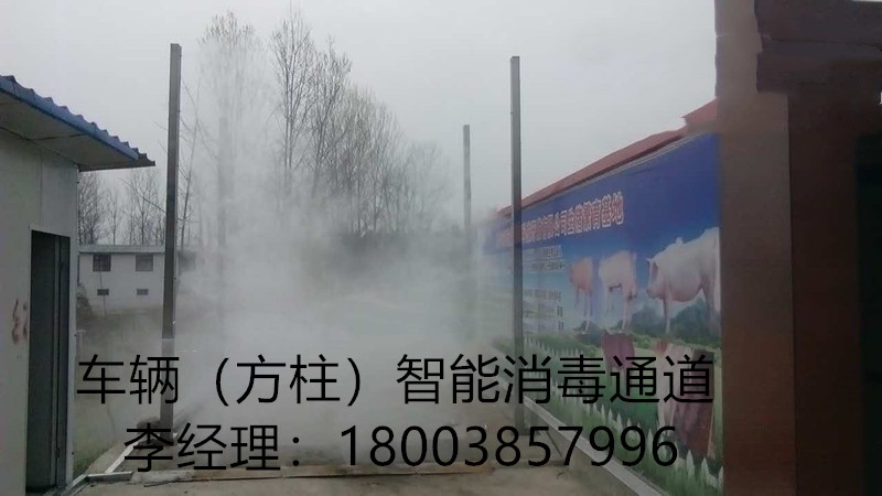 供应车辆方柱智能消毒通道等多种养殖设备消耗品  汽车消毒通道  车辆智能消毒通道  车俩消毒通道价格