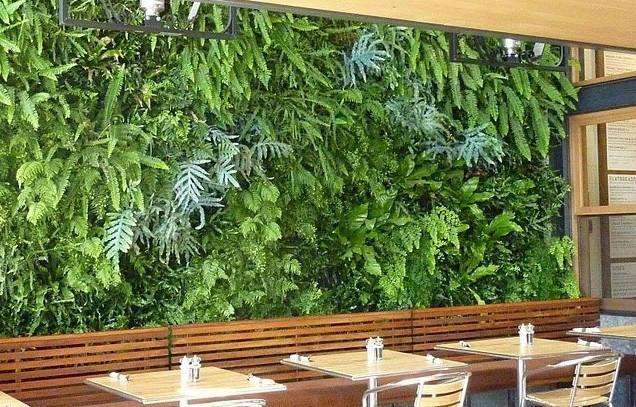 厦门植物墙专业植物背景墙设计施工  植物墙设计