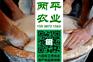 红薯粉条做法好吃|红薯粉条著名品牌阳江