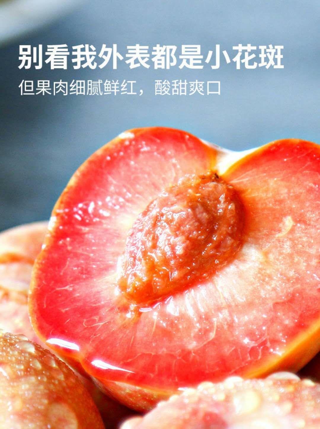 霍城美国杏李恐龙蛋苗多少钱一颗  恐龙蛋李