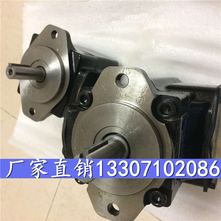 厂家直销T6C-025-1R00-A1丹尼逊进口泵