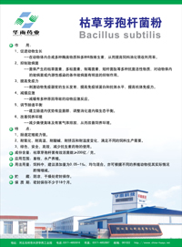 山东菌种供应厂家
