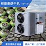 新一代柑普茶烘干机