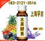 诺丽果酵素饮品上海专业代加工