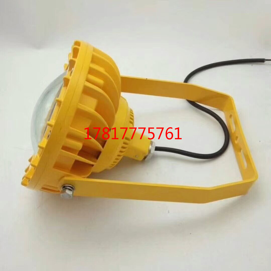 50WLED防爆投光灯 造纸厂防爆LED灯