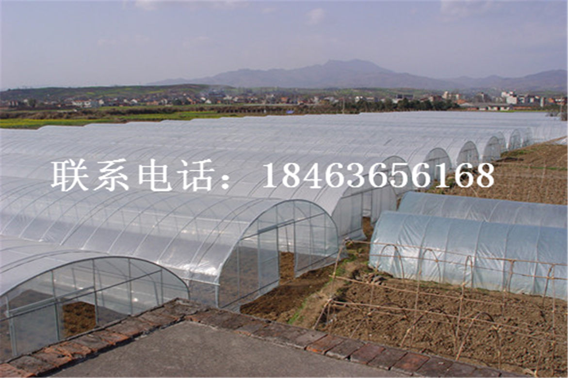 冷棚，插地棚，叉拱大棚建设价格&nbsp;&nbsp;简易薄膜温室&nbsp;&nbsp;塑料大棚