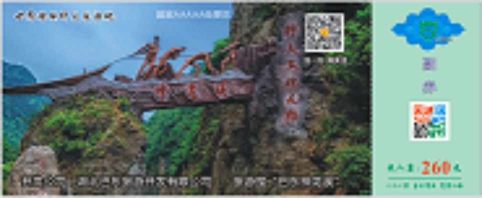 景区门票，演唱会门票  防伪门票  防伪标签