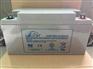 理士蓄电池DJM1280/12V80AH质保三年 全新正品