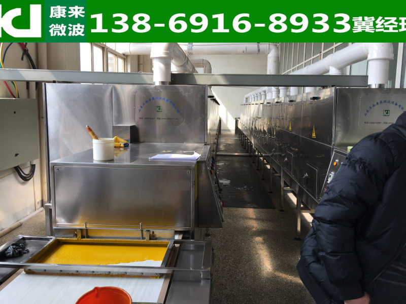 香精香料杀菌设备  调味料杀菌设备  微波杀菌设备