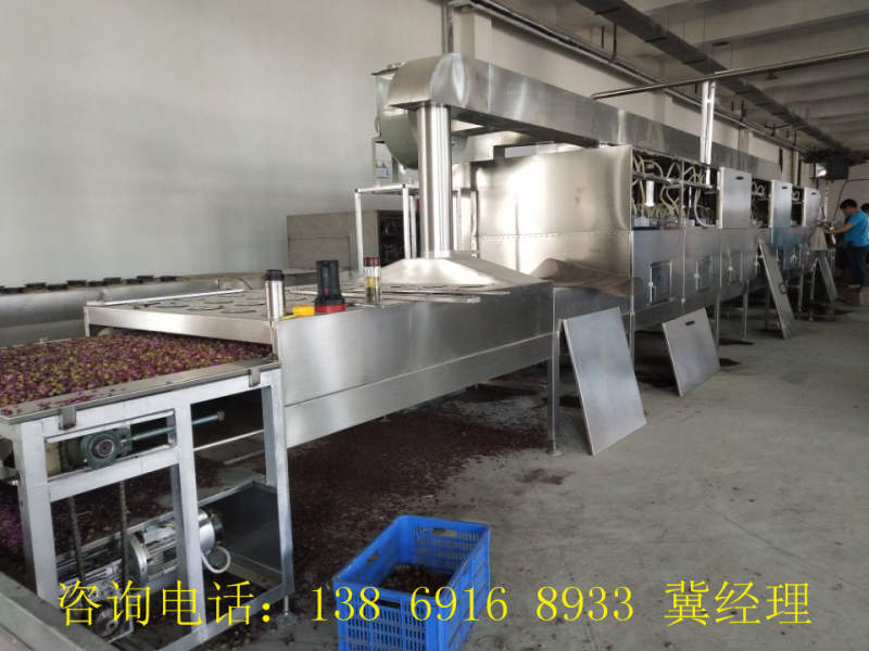 薄荷叶杀青设备  微波杀青设备  茶叶杀青设备