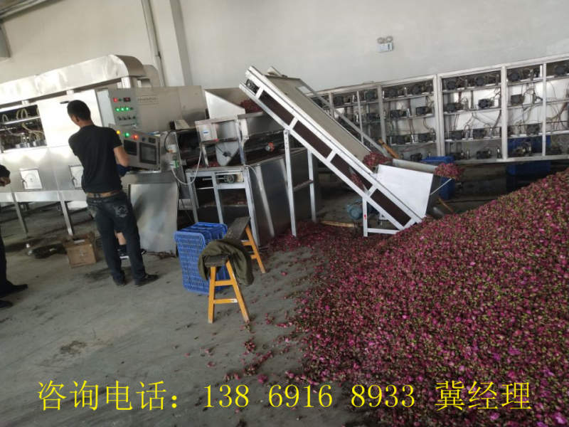 玫瑰花杀青设备  微波杀青设备  茶叶杀青设备