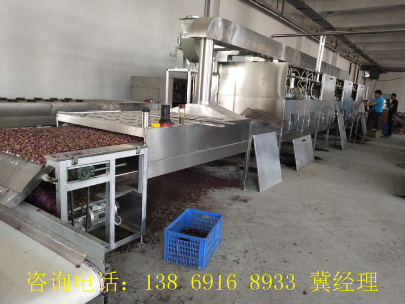 玫瑰花杀青设备  微波杀青设备  茶叶杀青设备