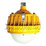 BPC8766LED防爆平台灯 220V功率30W/50W