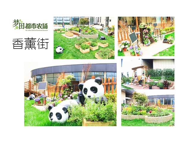 建设四川私家花园尚鼎丰农场省时省心