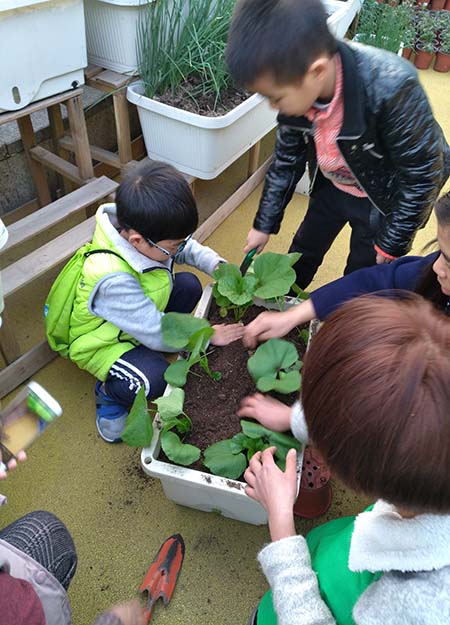 运作成都都市农场尚鼎丰农场价格优惠  家庭农场  楼顶农场