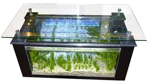 山东茶几鱼缸招商加盟