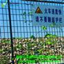 新疆和静县花园围栏图片