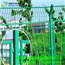 新疆库尔勒市养殖围栏网生产厂家