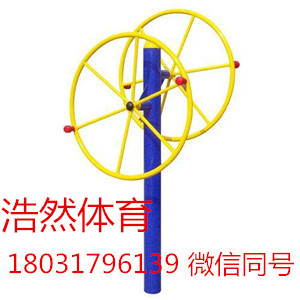 峨眉山当地直销双人大转轮厂家  双人大转轮价格