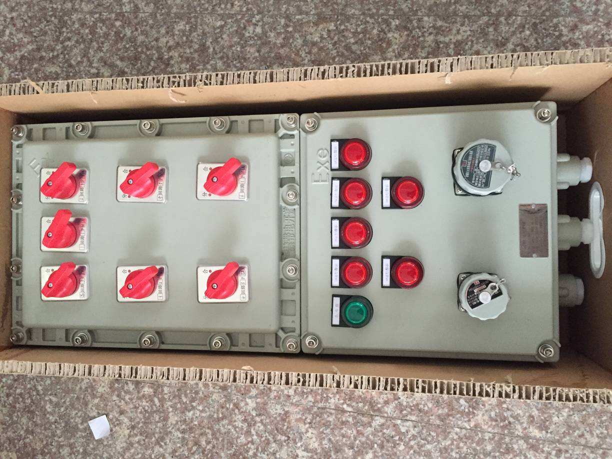BXX-3KT防爆动力检修箱&nbsp;&nbsp;防爆检修插座箱&nbsp;&nbsp;粉尘防爆检修箱