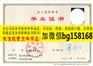 2004年盐城师范学院本科样本