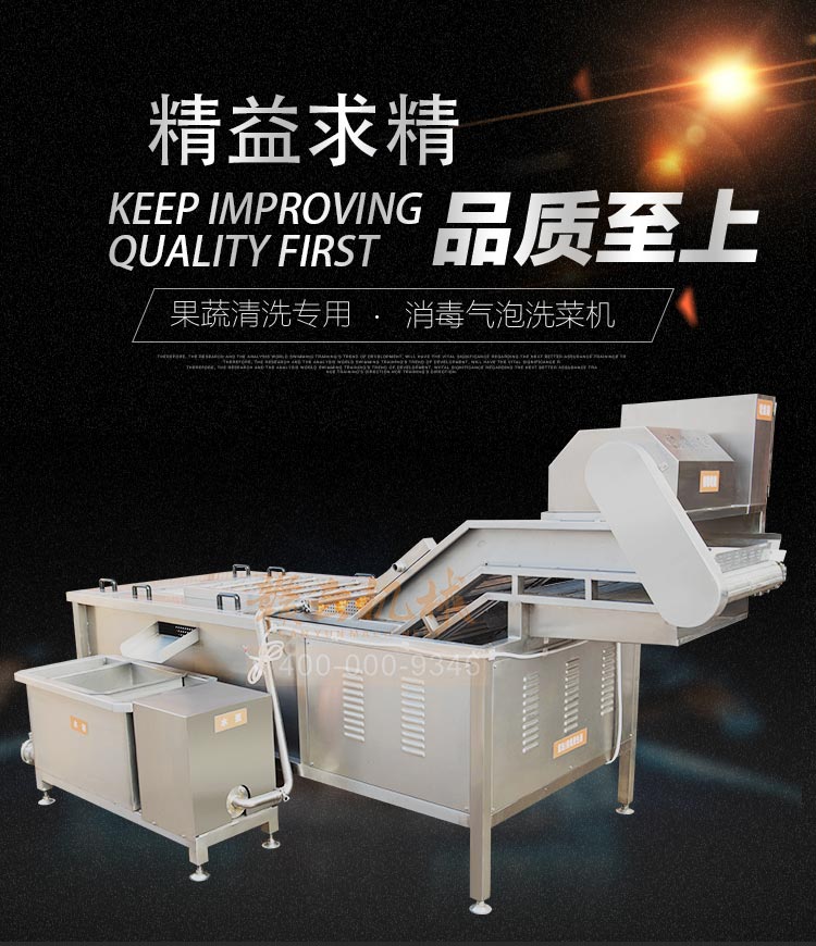 大型全自动果蔬清洗机 商用清洗百香果的设备 气泡清洗机 商用洗菜机